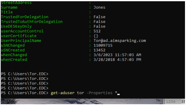 vba get ad user information